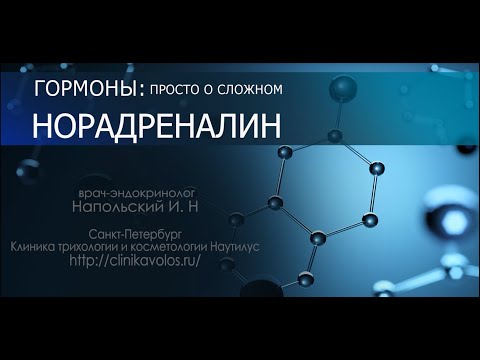 Видео: Норадреналин - гормон и нейромедиатор. Как его можно повысить и нужно ли это?