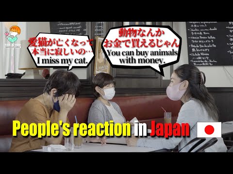 Видео: Если друг сказал что-то ужасное другу, потерявшему кошку.