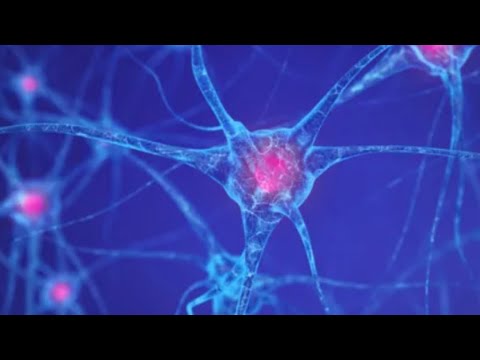 Видео: Полинейропатия: поражение нервных волокон при сахарном диабете #сахарныйдиабет #эндокринолог 