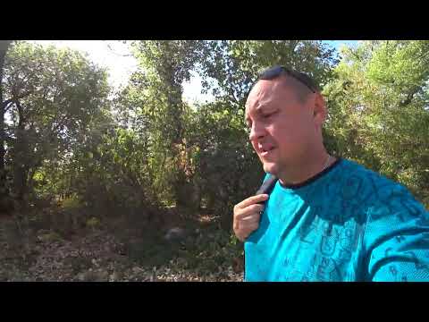 Видео: Воронеж - не моё.