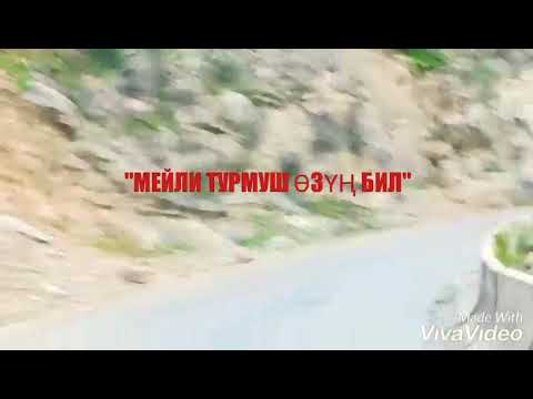 Видео: "Мейли турмуш өзүң бил"