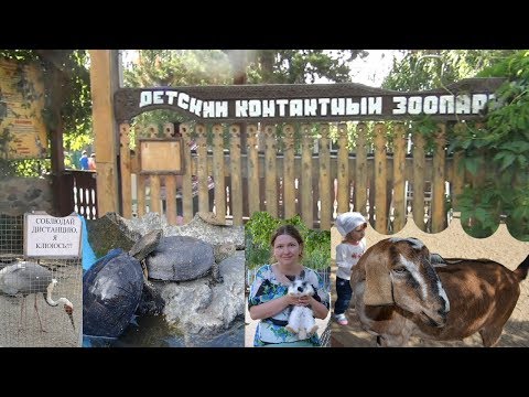 Видео: Контактный зоопарк г.Челябинск