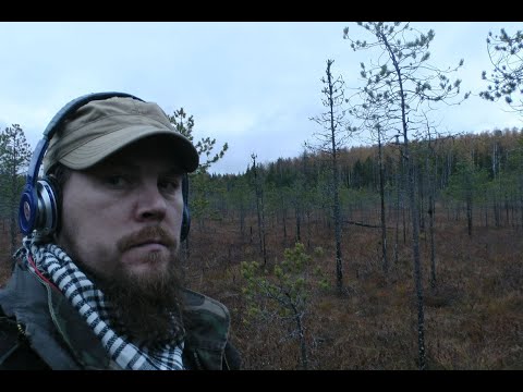 Видео: Прогулка в осень. Сумеречную. 2025.