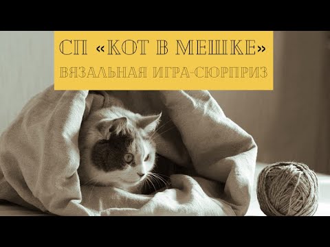 Видео: СП «Кот в мешке» 🌸 VesnaKnit