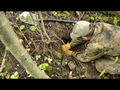 Видео: Искал грибы, а нашёл урочище #530