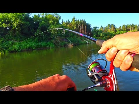 Видео: ОТ ТАКОЙ ПРИРОДЫ И ПОКЛЁВОК ДУХ ЗАХВАТЫВАЕТ! ЭТО СКАЗКА! Рыбалка на спиннинг 2023.