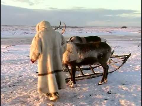 Видео: «Тюнтава» - «Ненецкая свадьба»