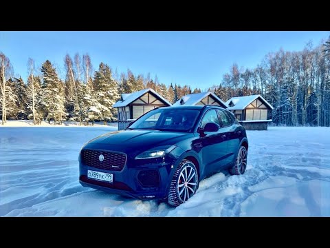 Видео: Котёнок, который показал, кто на дороге главный - NEW JAGUAR E-PACE !
