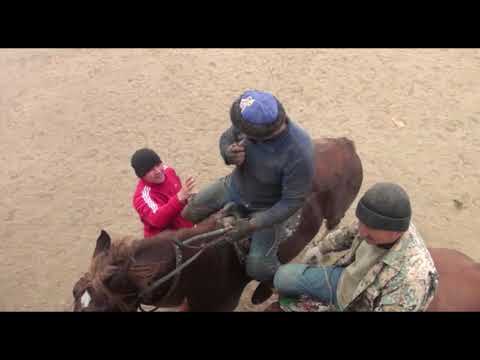 Видео: Ногай Бакыт мырзанын кокпары Часть - 2
