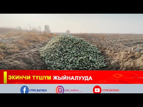 Видео: ЭКИНЧИ ТҮШҮМ ЖЫЙНАЛУУДА