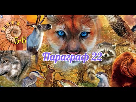Видео: Биология 5-6 класс Пасечник аудио параграф 22 Характеристика царства животных