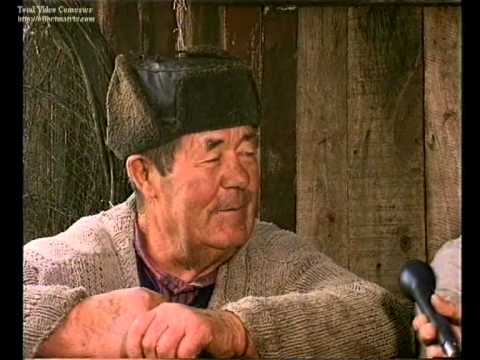 Видео: Татарица