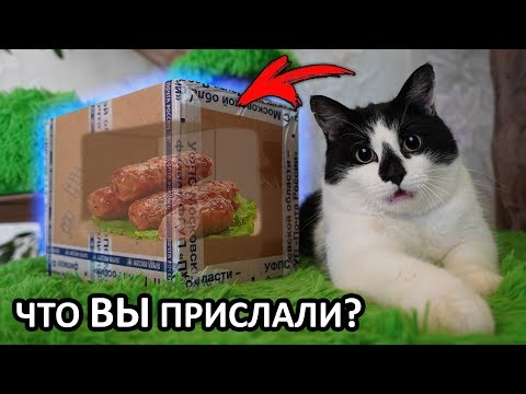 Видео: ПОСЫЛКИ и РИСУНКИ от ПОДПИСЧИКОВ **ОНИ ПРОСТО КРУТЫЕ**