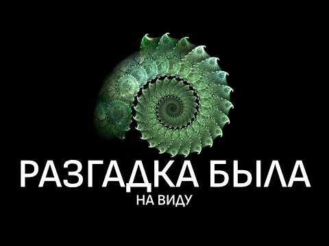 Видео: Главный закон Вселенной скрывался у всех на виду