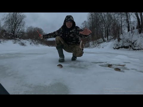 Видео: Зимняя рыбалка на таёжной речке. Нарвался на окуня...