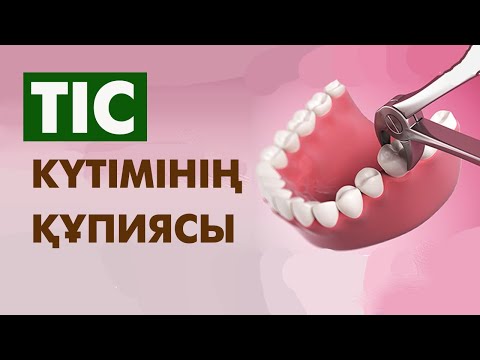 Видео: Тіс дәрігерінен тегін кеңес  | #стоматолог