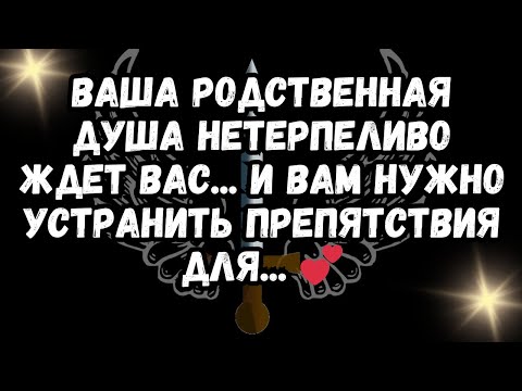 Видео: Ваша родственная душа нетерпеливо ждет вас... и вам нужно устранить препятствия для... 💕
