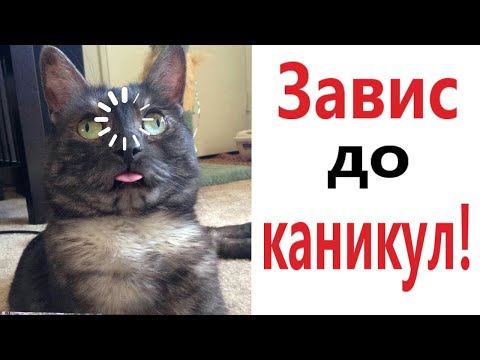 Видео: Лютые приколы. ЗАВИС ДО КАНИКУЛ!!! САМОЕ смешное видео! Засмеялся проиграл! - Domi Show!