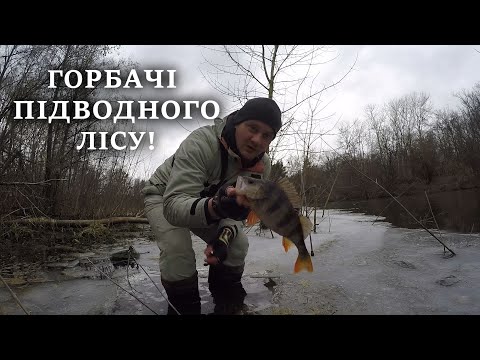 Видео: Горбаті ОКУНІ з кожного закиду! ПСЕЛ/Джиг/Весна.