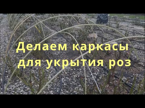 Видео: Делаем каркасы для укрытия роз. Питомник растений Е. Иващенко