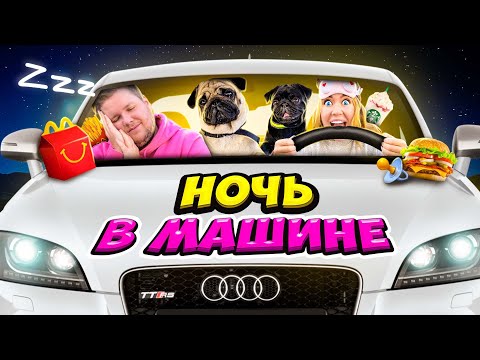 Видео: НОЧЬ В МАШИНЕ С ДВУМЯ СОБАКАМИ! 24 Часа ЧЕЛЛЕНДЖ! Ночуем ВМЕСТЕ в БАГАЖНИКЕ!