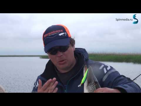 Видео: В лиманы за хищником. Часть 3