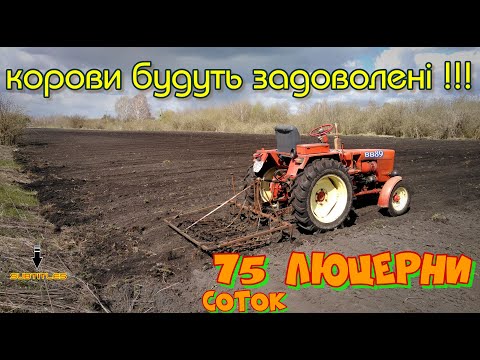 Видео: Сію 75 соток люцерни в ручну! Корови будуть ситі !!! Бороную,культивую Т25