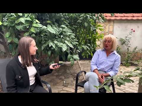 Видео: Ленче, Мишко и другарите