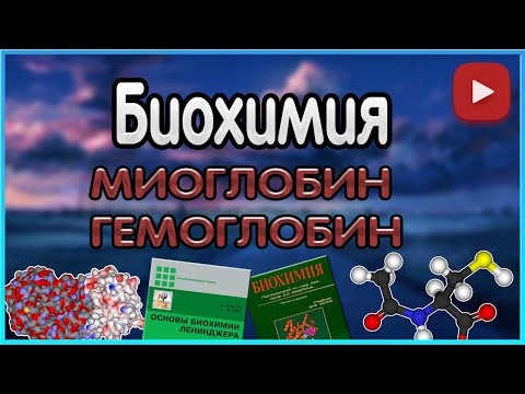 Видео: Биохимия. Лекция 5. Гемоглобин. Миоглобин.