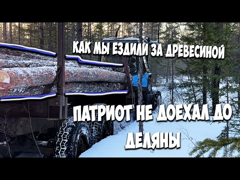 Видео: Поехали за деловой древесиной! Уаз патриот не доехал! МТЗ вынес всё!