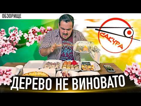 Видео: Доставка Сакура | Гениальная идея для средних доставок.