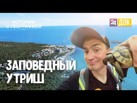 Видео: Путешествие по диким уголкам заповедника «Утриш» и встреча с черепахами. ИСТОРИИ С ГЕОГРАФИЕЙ