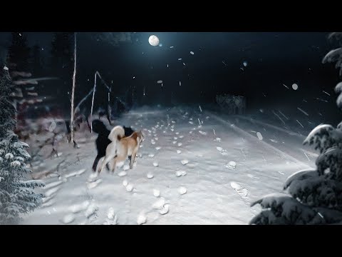 Видео: ВОЛКИ СДЕЛАЛИ ЭТО. ЧЕРЕЗ 30 ЛЕТ ПРИШЁЛ НА ОЗЕРО И ОБАЛДЕЛ. РЫБАЛКА НА ТРУДНОДОСТУПНОМ ОЗЕРЕ.