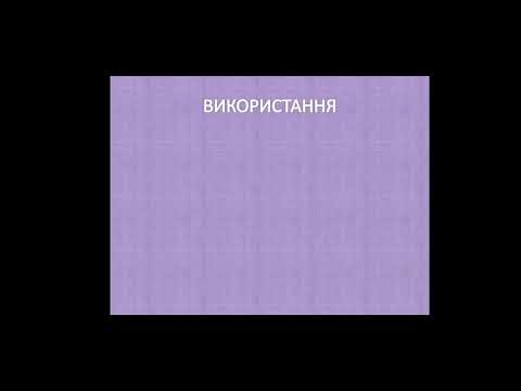 Видео: Past Simple. Минулий час.