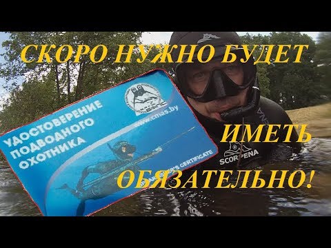 Видео: УДОСТОВЕРЕНИЕ ПОДВОДНОГО ОХОТНИКА скоро нужно будет иметь ВСЕМ!