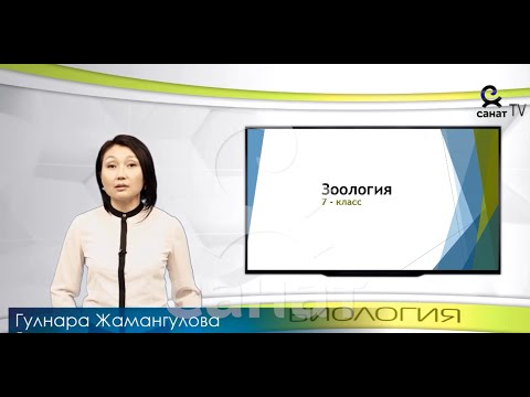 Видео: Зоология  7 класс  23 сабак