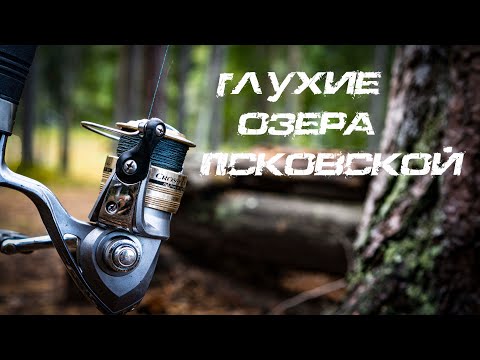 Видео: Псковские щучки   Рыбалка для души