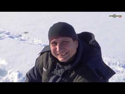 Видео: Рыбалка КВХ залив кривляк