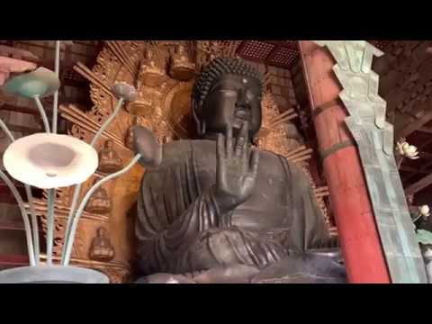 Видео: Экскурсия по г. Нара (Япония)