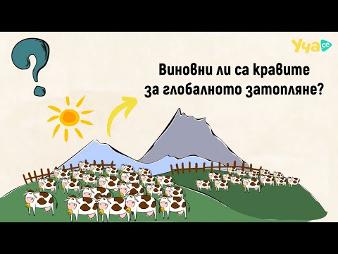 Видео: Виновни ли са кравите за глобалното затопляне?