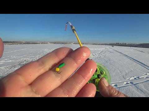 Видео: ДУРОМ ХВАТАЮТ ГВОЗДИ КУБИК...УДОЧКА КОСИТ КРУПНЯК!!! Зимняя рыбалка2024