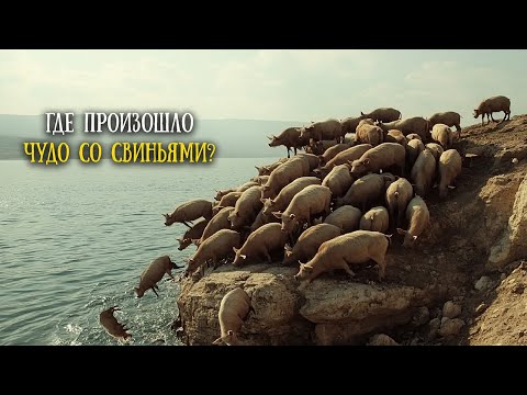Видео: Изгнание бесов в свиней. Гергеса, Гадара или Гераса?