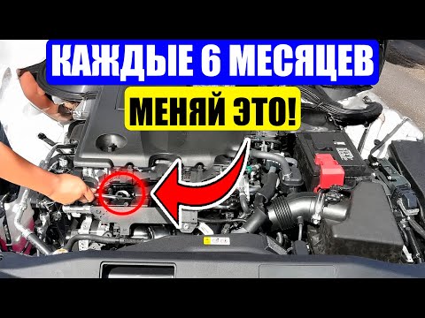 Видео: Эти 17 ПРИВЫЧЕК ПОМОГЛИ Моему Автомобилю Проехать 800 тысяч км