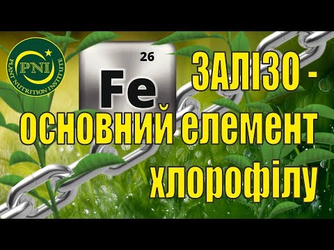 Видео: Залізо і живлення рослин: функції, дефіцит, добрива