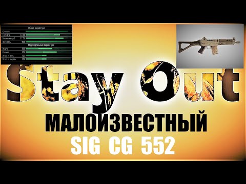 Видео: ⭐Stay Out⭐Сталкер-Онлай 👍Малоизвестный SIG CG 552