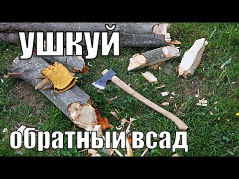 Видео: Самый практичный лесной топор!