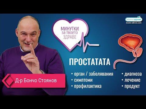 Видео: Минутки за: Простатата