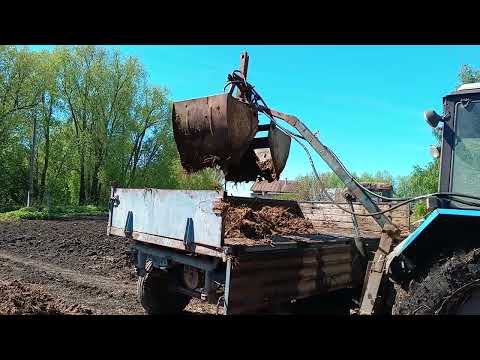 Видео: Погрузка навоза самодельным погрузчиком на заднюю навеску, трактором МТЗ 82.1 #мтз82