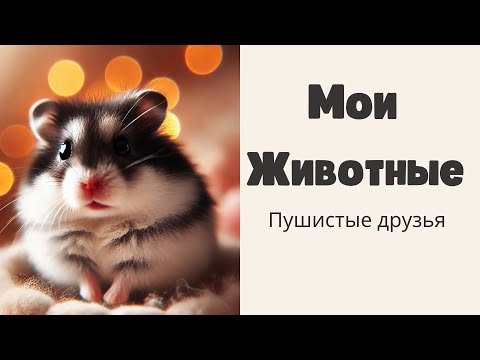 Видео: Мои животные