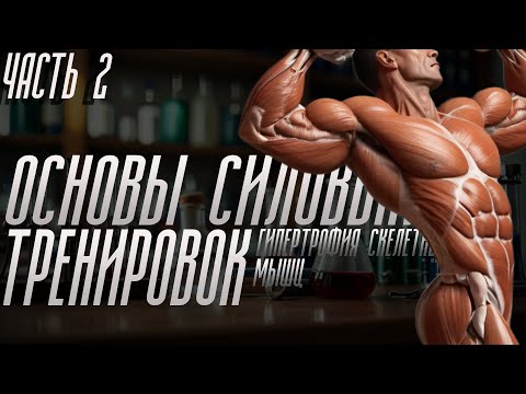 Видео: Основы силовых тренировок Часть 2.  Строение мышцы. Механизм мышечного сокращения. Крутящие моменты.
